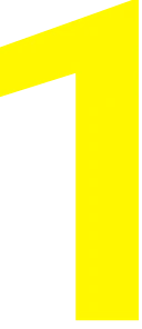 Vector